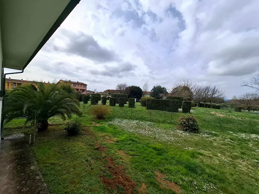 Immagine 49 di Villa in vendita  a Santa Croce Sull'arno