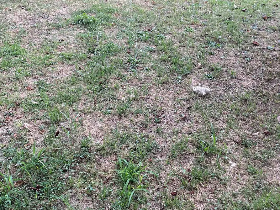 Immagine 45 di Porzione di casa in vendita  a Carrara