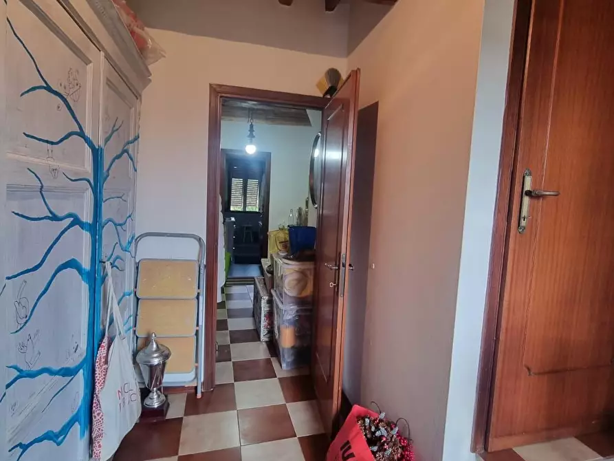Immagine 15 di Terratetto in vendita  a Porcari