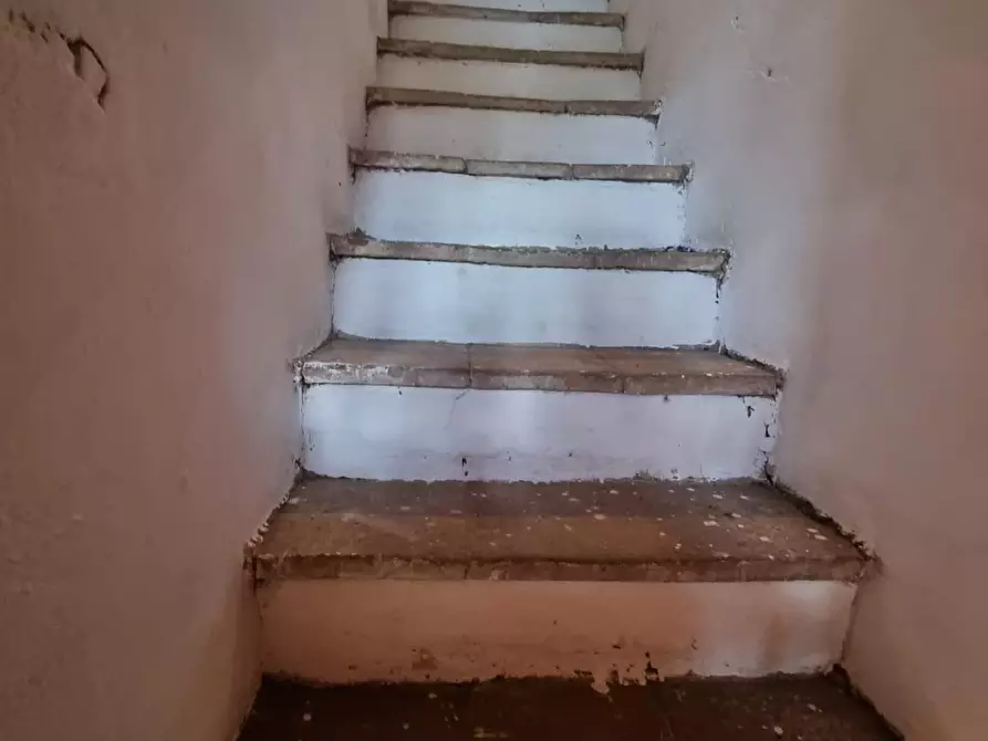 Immagine 8 di Terratetto in vendita  a Porcari