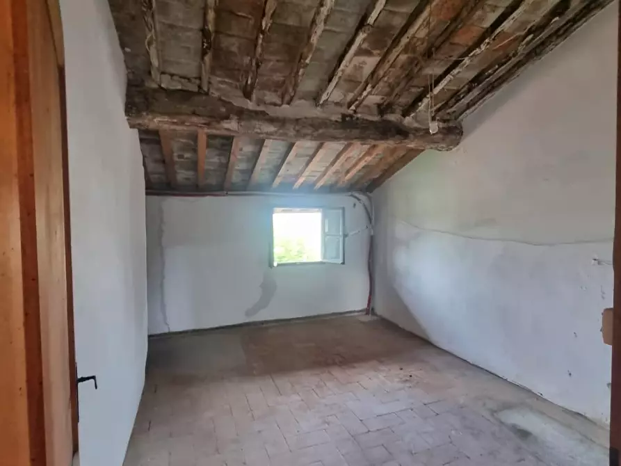 Immagine 21 di Terratetto in vendita  a Porcari