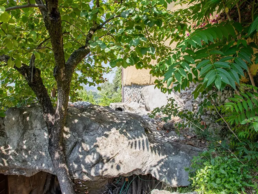 Immagine 9 di Casa semindipendente in vendita  a Massa