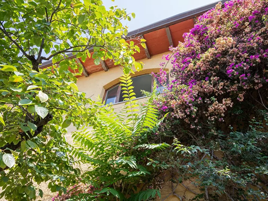 Immagine 31 di Casa semindipendente in vendita  a Massa