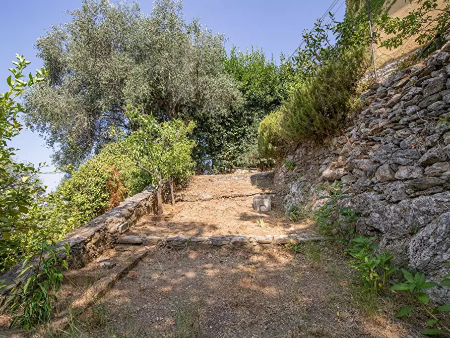 Immagine 21 di Casa semindipendente in vendita  a Massa