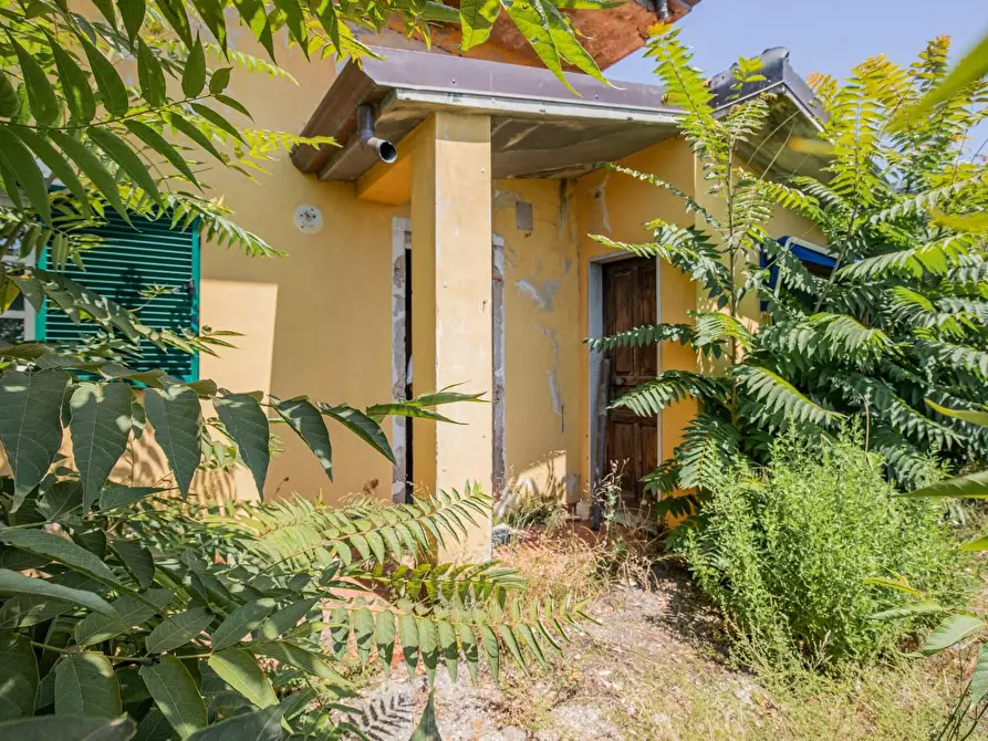 Immagine 98 di Casa semindipendente in vendita  a Massa