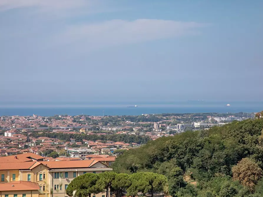 Immagine 6 di Casa semindipendente in vendita  a Massa