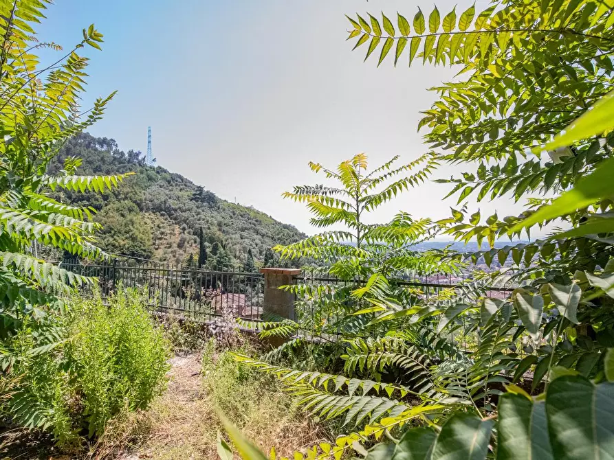 Immagine 107 di Casa semindipendente in vendita  a Massa