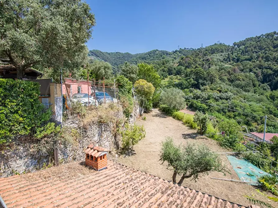 Immagine 86 di Casa semindipendente in vendita  a Massa