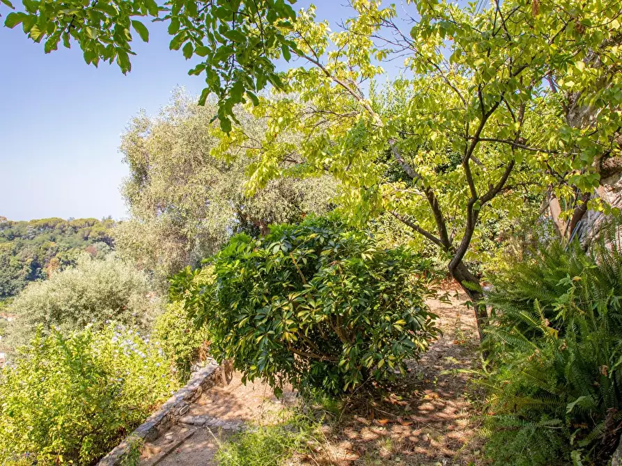 Immagine 14 di Casa semindipendente in vendita  a Massa