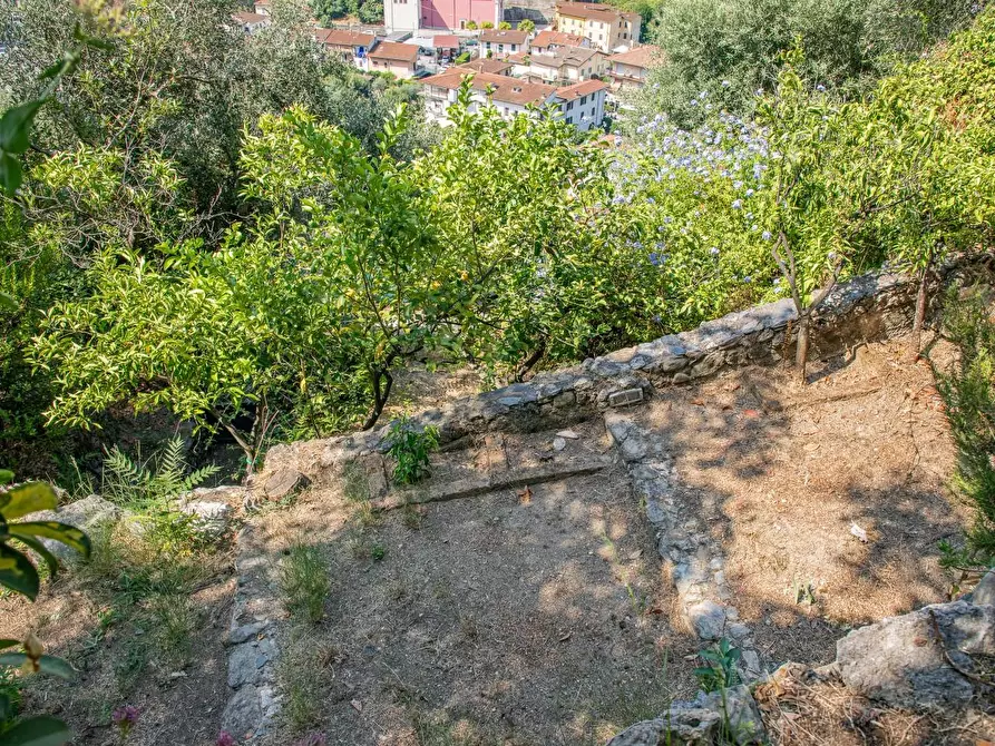 Immagine 13 di Casa semindipendente in vendita  a Massa