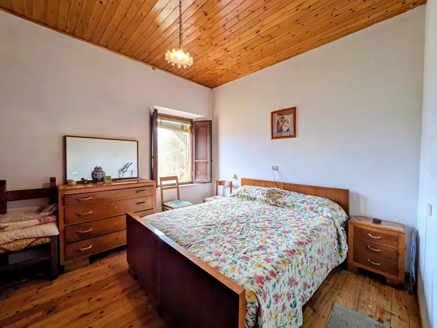 Immagine 18 di Terratetto in vendita  a Molazzana