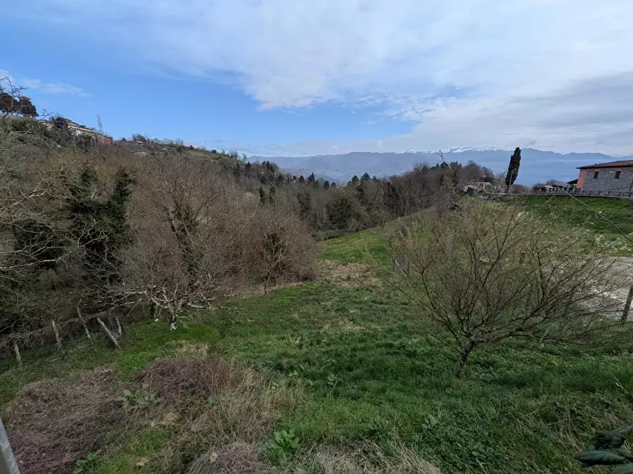 Immagine 29 di Terratetto in vendita  a Molazzana