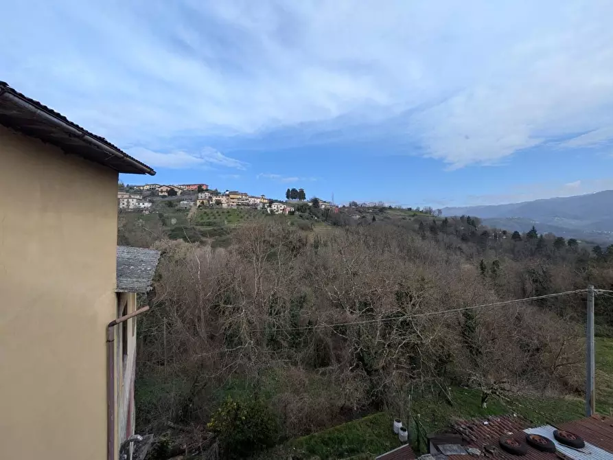 Immagine 25 di Terratetto in vendita  a Molazzana