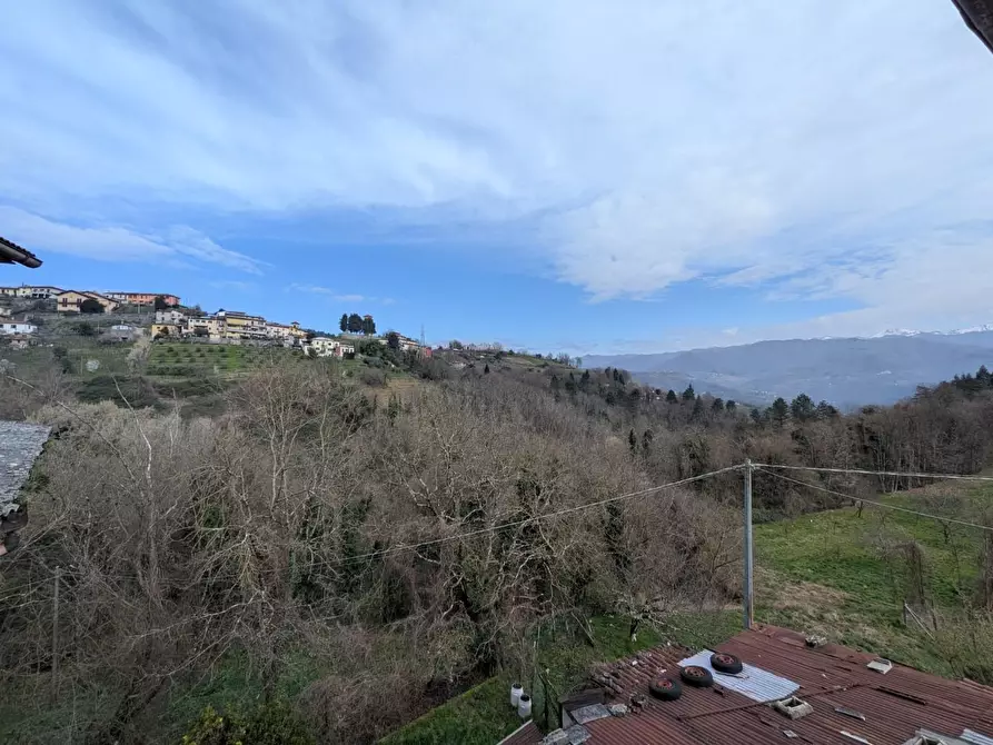 Immagine 24 di Terratetto in vendita  a Molazzana