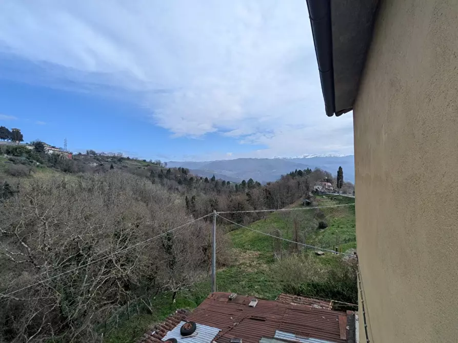 Immagine 22 di Terratetto in vendita  a Molazzana