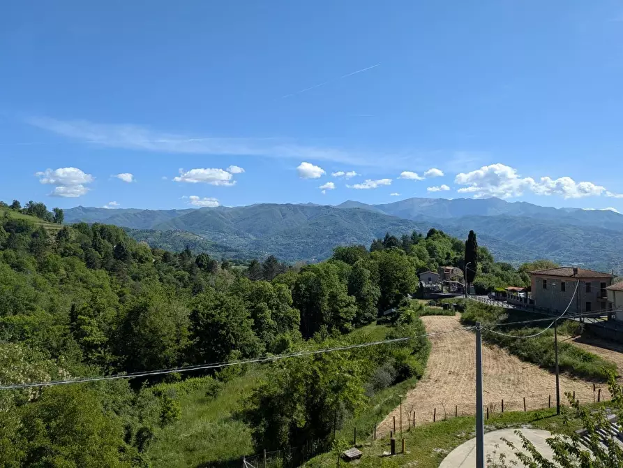 Immagine 31 di Terratetto in vendita  a Molazzana