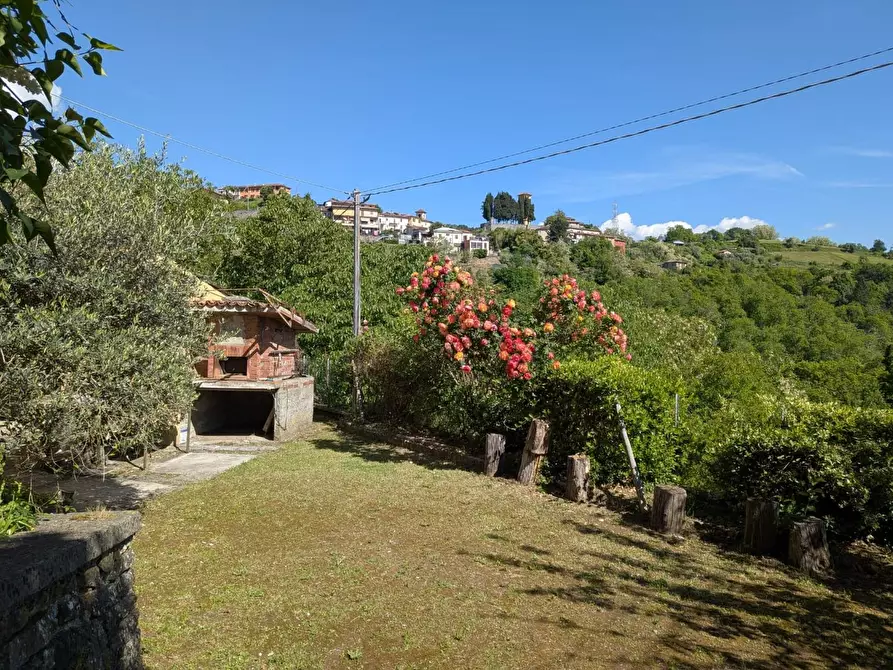 Immagine 34 di Terratetto in vendita  a Molazzana