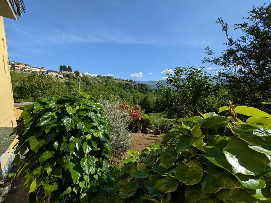 Immagine 30 di Terratetto in vendita  a Molazzana