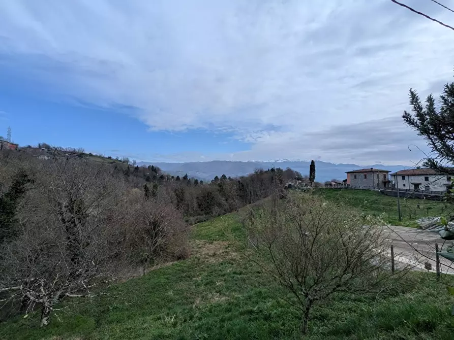 Immagine 28 di Terratetto in vendita  a Molazzana