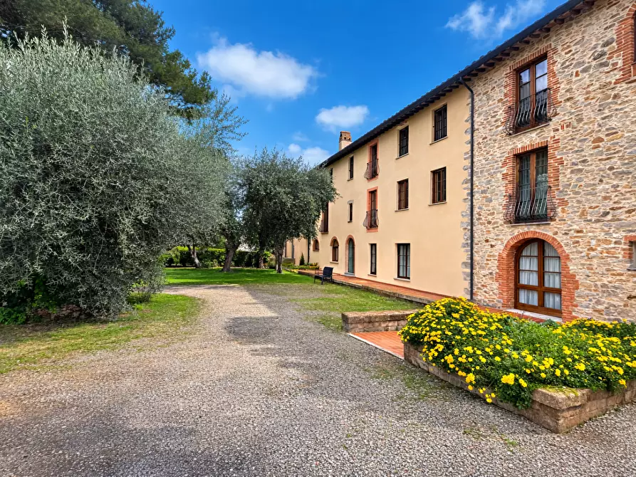 Immagine 26 di Appartamento in vendita  a Campiglia Marittima