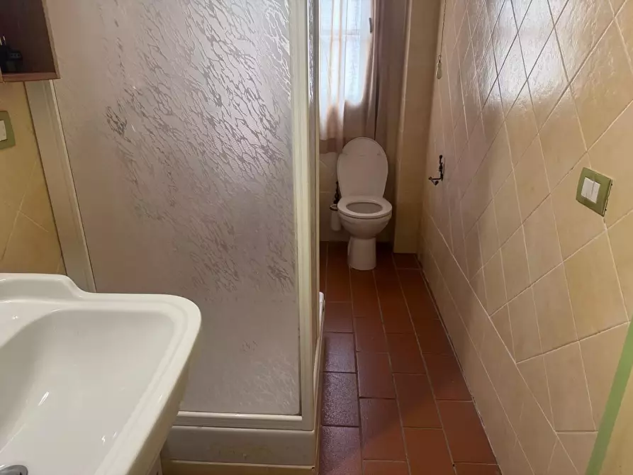 Immagine 13 di Appartamento in vendita  a Campiglia Marittima