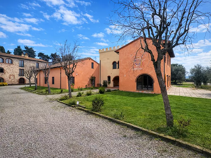 Immagine 2 di Appartamento in vendita  a Campiglia Marittima