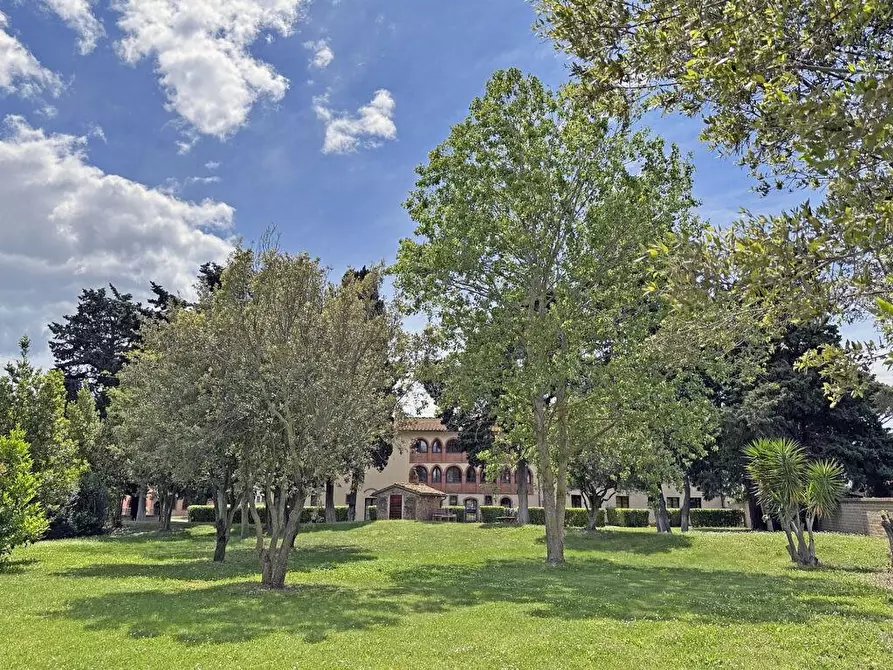 Immagine 23 di Appartamento in vendita  a Campiglia Marittima