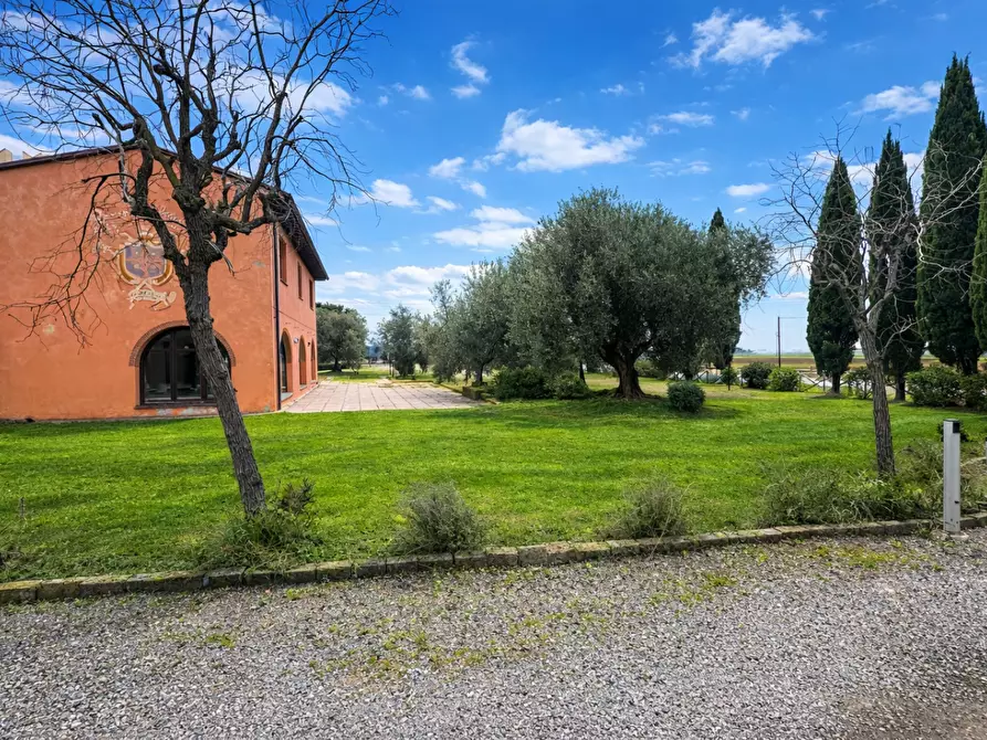 Immagine 27 di Appartamento in vendita  a Campiglia Marittima