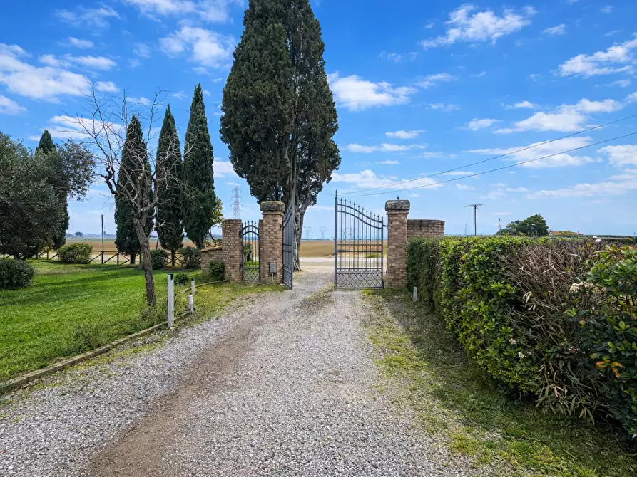 Immagine 24 di Appartamento in vendita  a Campiglia Marittima