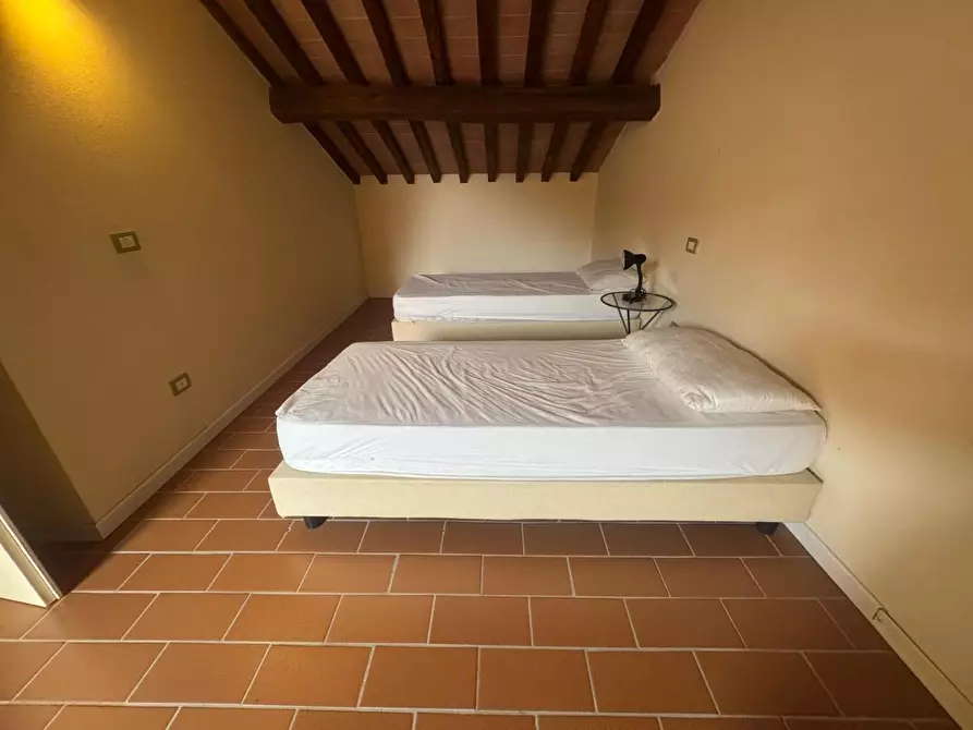 Immagine 16 di Appartamento in vendita  a Campiglia Marittima