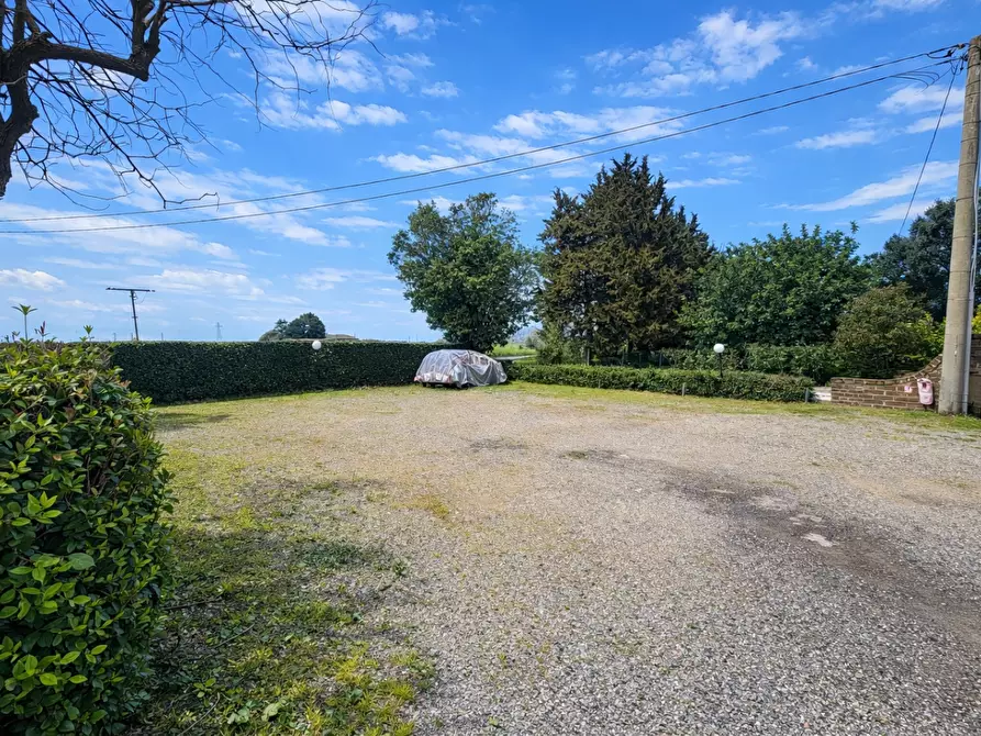 Immagine 29 di Appartamento in vendita  a Campiglia Marittima