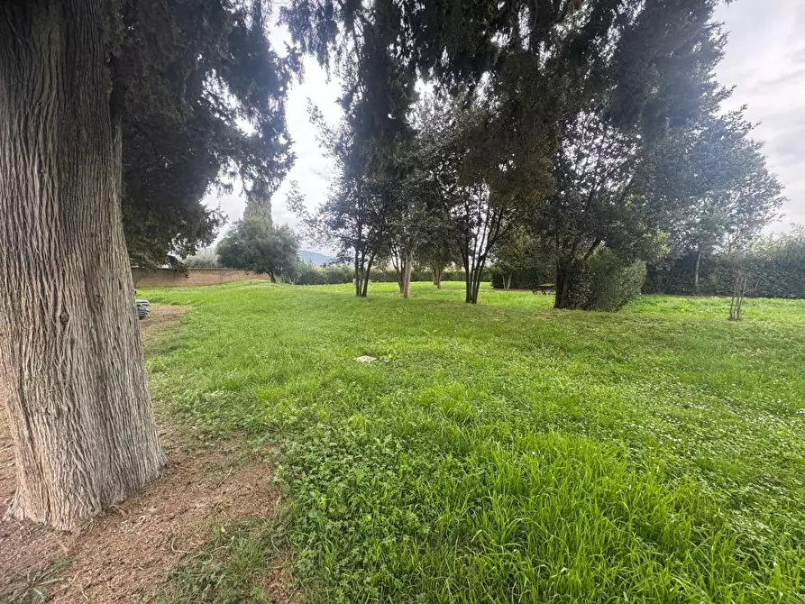 Immagine 31 di Appartamento in vendita  a Campiglia Marittima