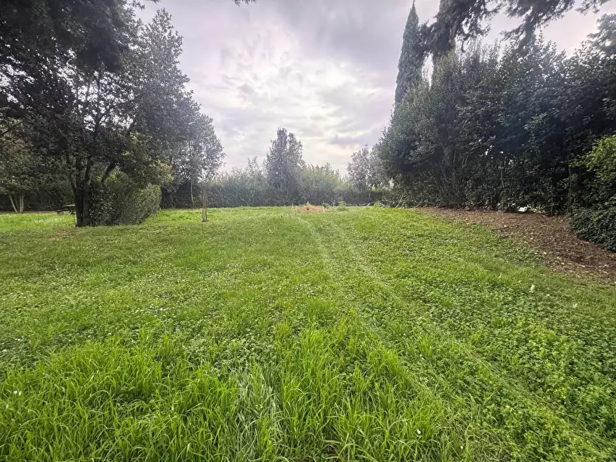 Immagine 30 di Appartamento in vendita  a Campiglia Marittima