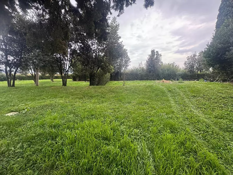 Immagine 32 di Appartamento in vendita  a Campiglia Marittima