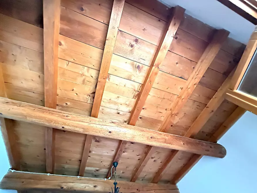 Immagine 12 di Terratetto in vendita  a Vinci