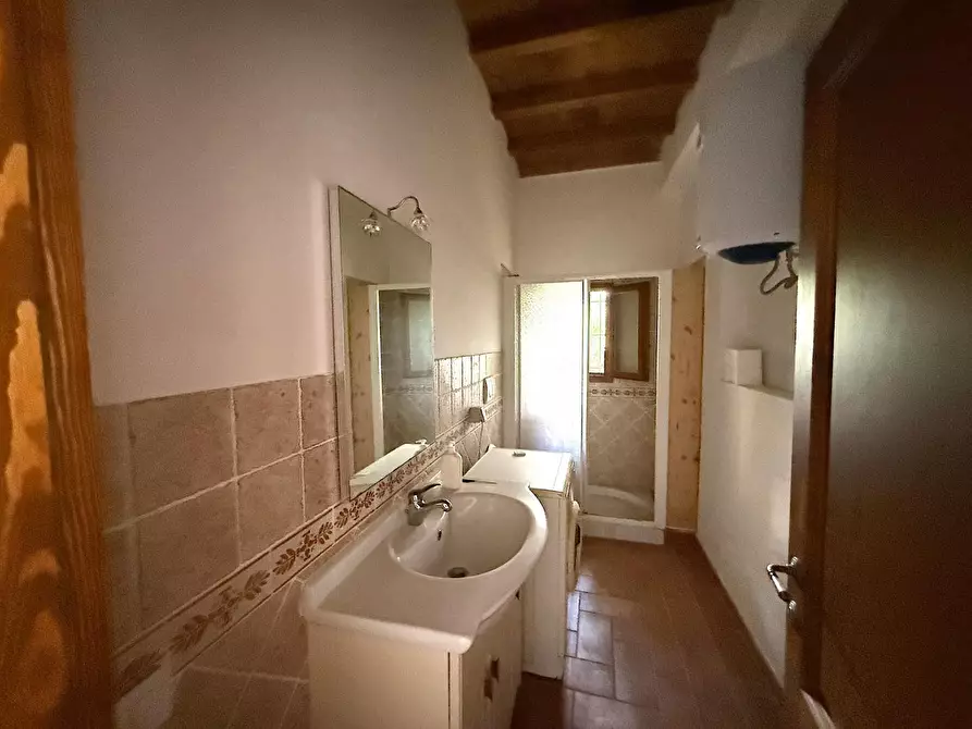 Immagine 6 di Terratetto in vendita  a Vinci