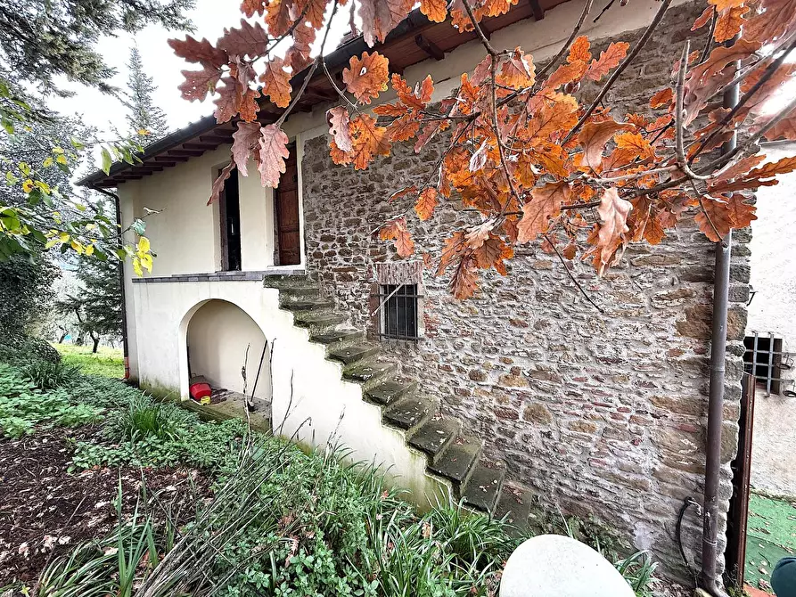 Immagine 17 di Terratetto in vendita  a Vinci