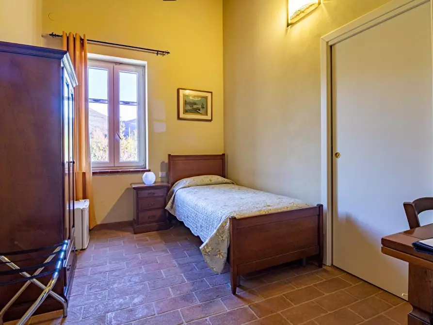 Immagine 19 di Casa colonica in vendita  a Vicopisano