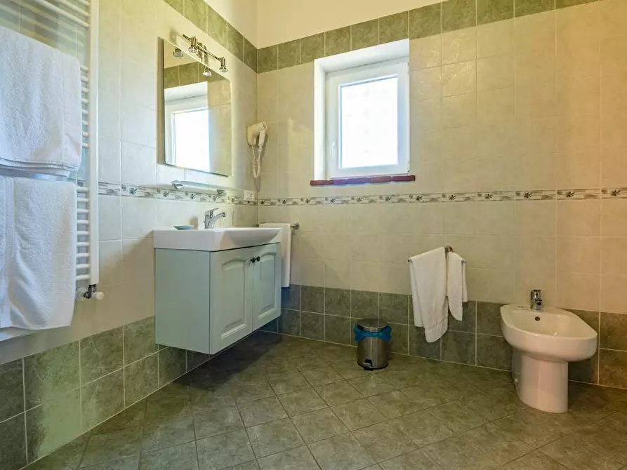 Immagine 24 di Casa colonica in vendita  a Vicopisano