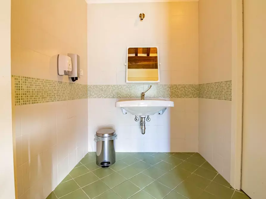 Immagine 11 di Casa colonica in vendita  a Vicopisano