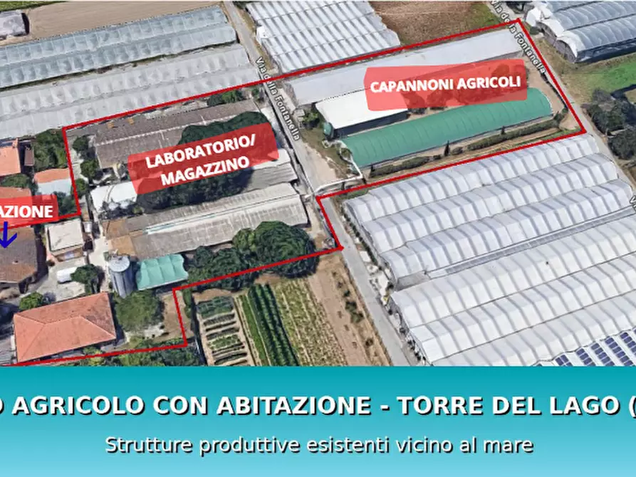 Immagine 1 di Attività artigianale in vendita  a Viareggio