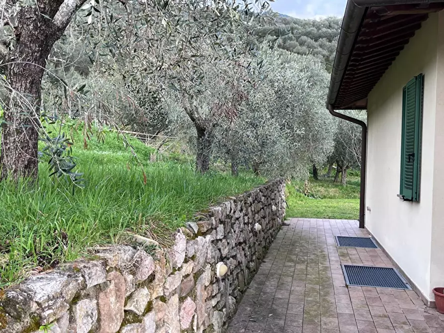 Immagine 8 di Casa indipendente in vendita  a San Giuliano Terme
