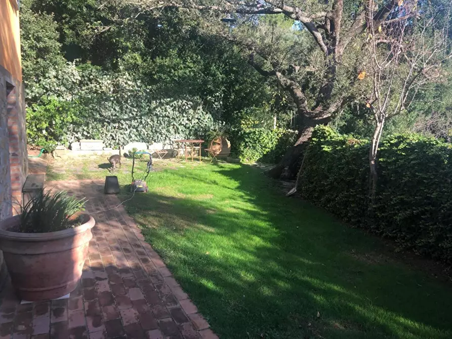 Immagine 7 di Villa in vendita  a Magliano In Toscana