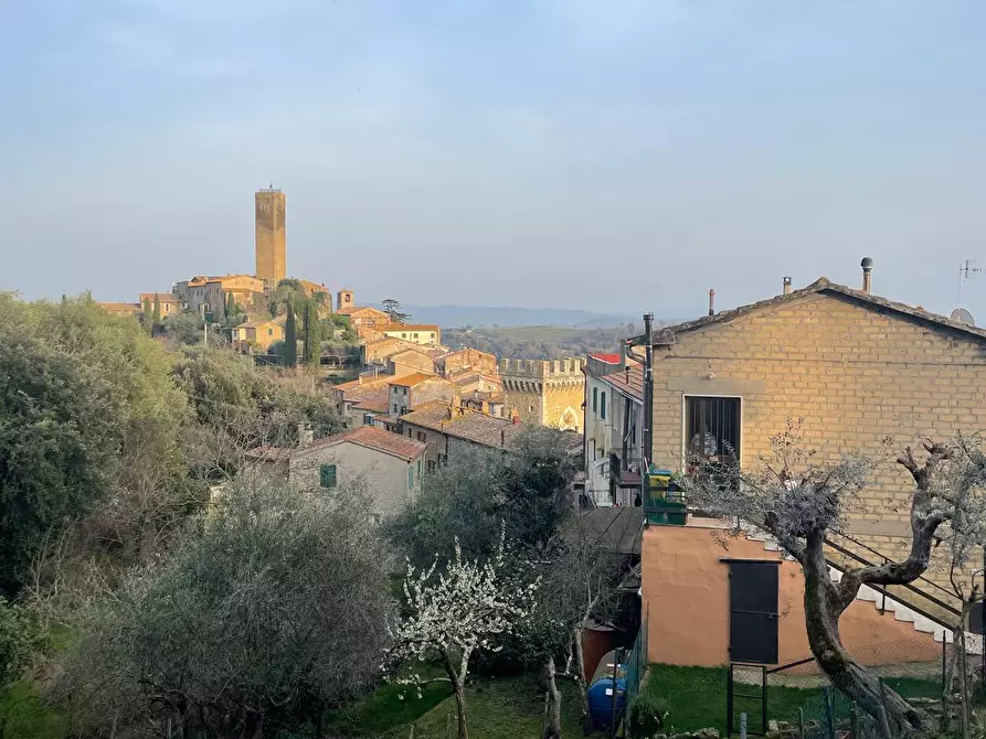 Immagine 31 di Villa in vendita  a Magliano In Toscana