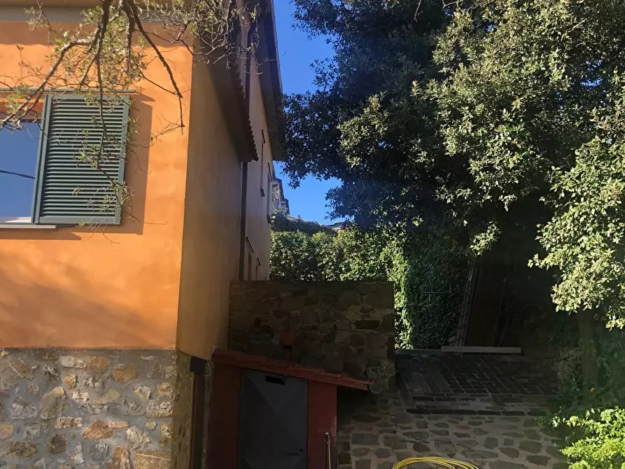 Immagine 3 di Villa in vendita  a Magliano In Toscana
