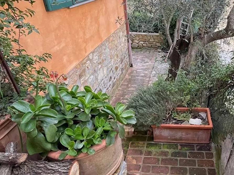 Immagine 34 di Villa in vendita  a Magliano In Toscana