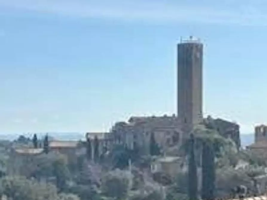 Immagine 4 di Villa in vendita  a Magliano In Toscana