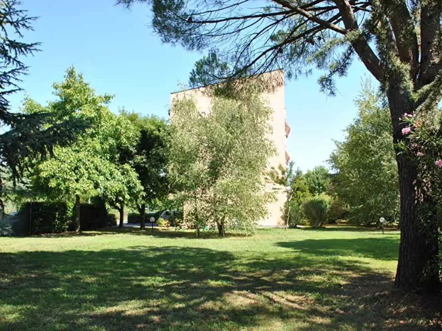 Immagine 10 di Appartamento in vendita  a Lucca