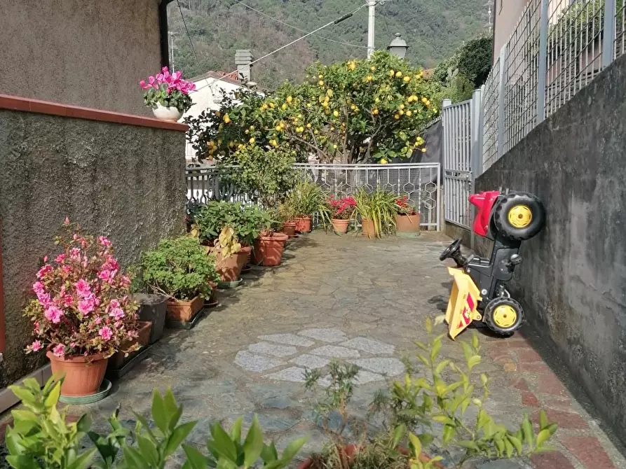 Immagine 6 di Porzione di casa in vendita  a Massa