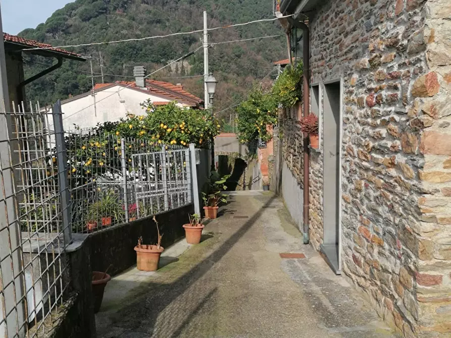 Immagine 24 di Porzione di casa in vendita  a Massa